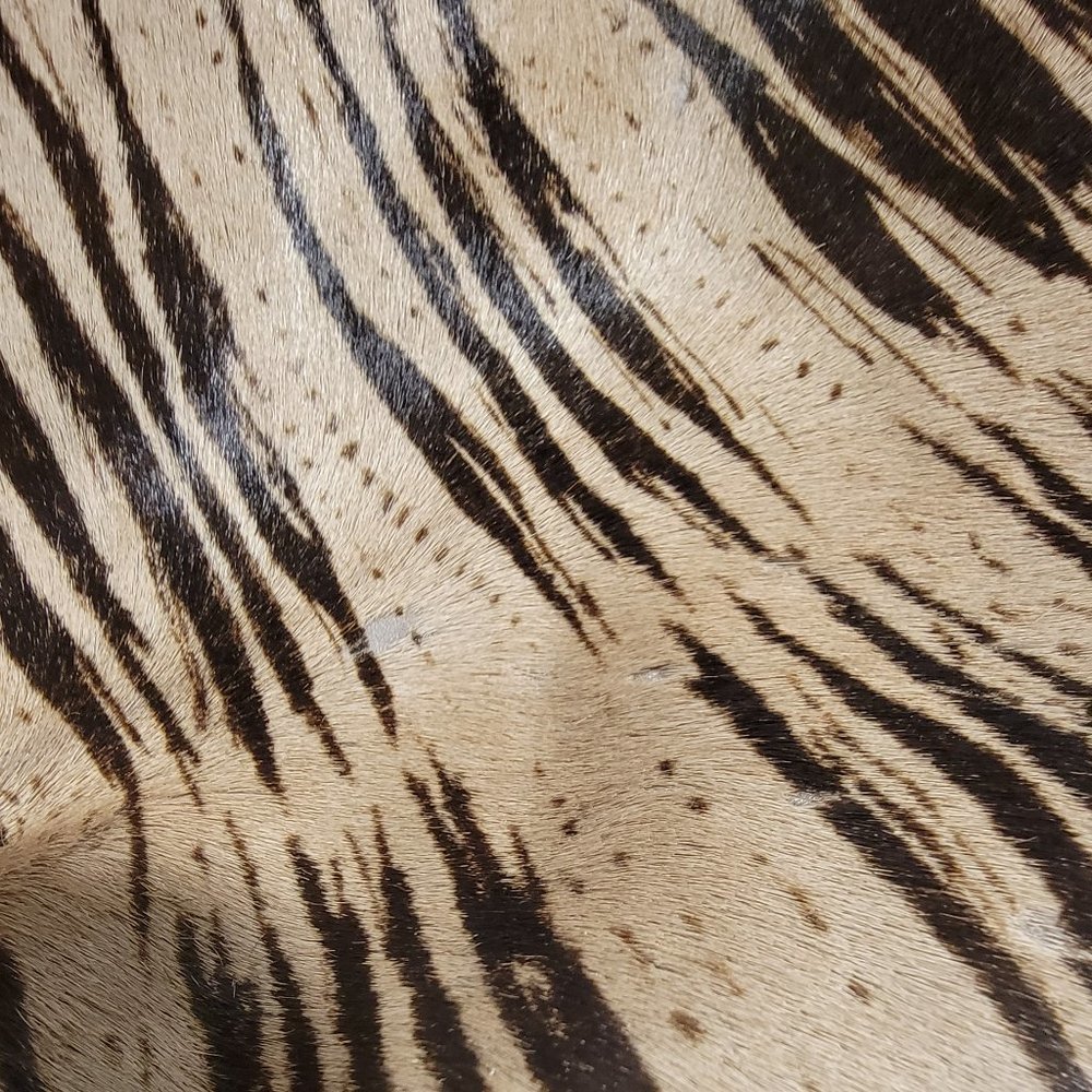 NWT Vintage FENDI SELLERIA Pony Hair Jungle Jacket - Picture 12 of 15